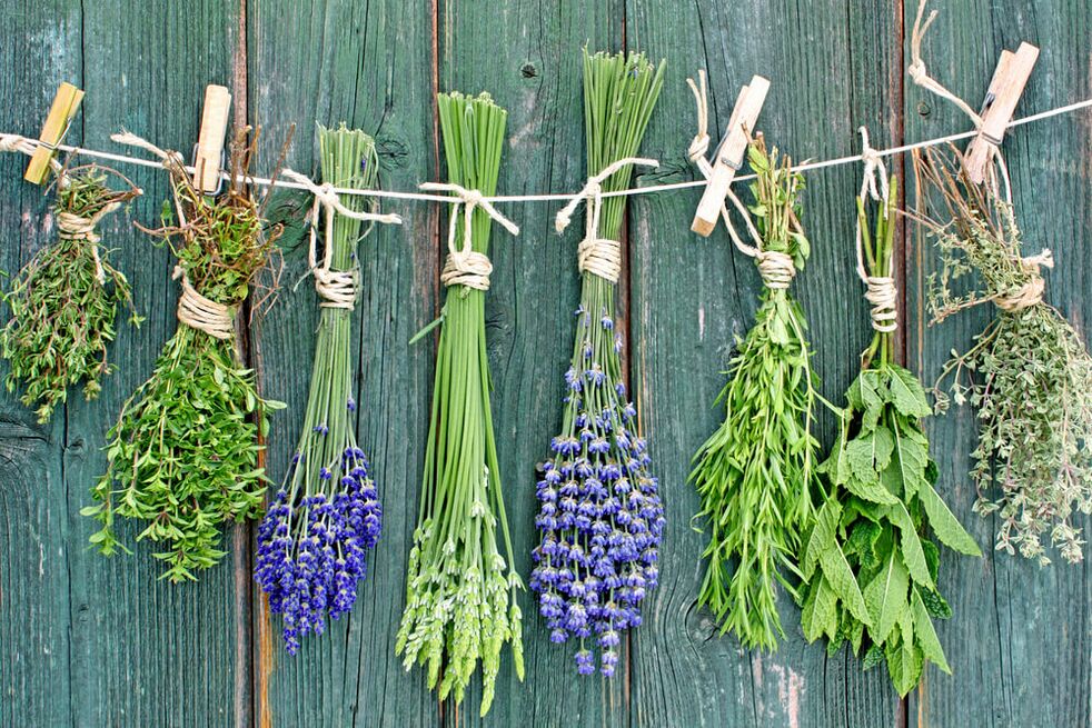 Herbs that bring good luck and happiness