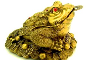 the magic coin toad